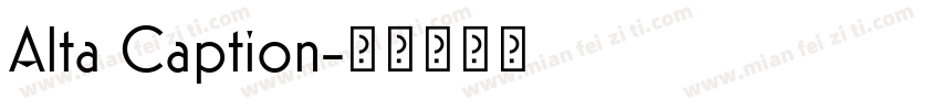 Alta Caption字体转换